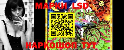 spice Будённовск